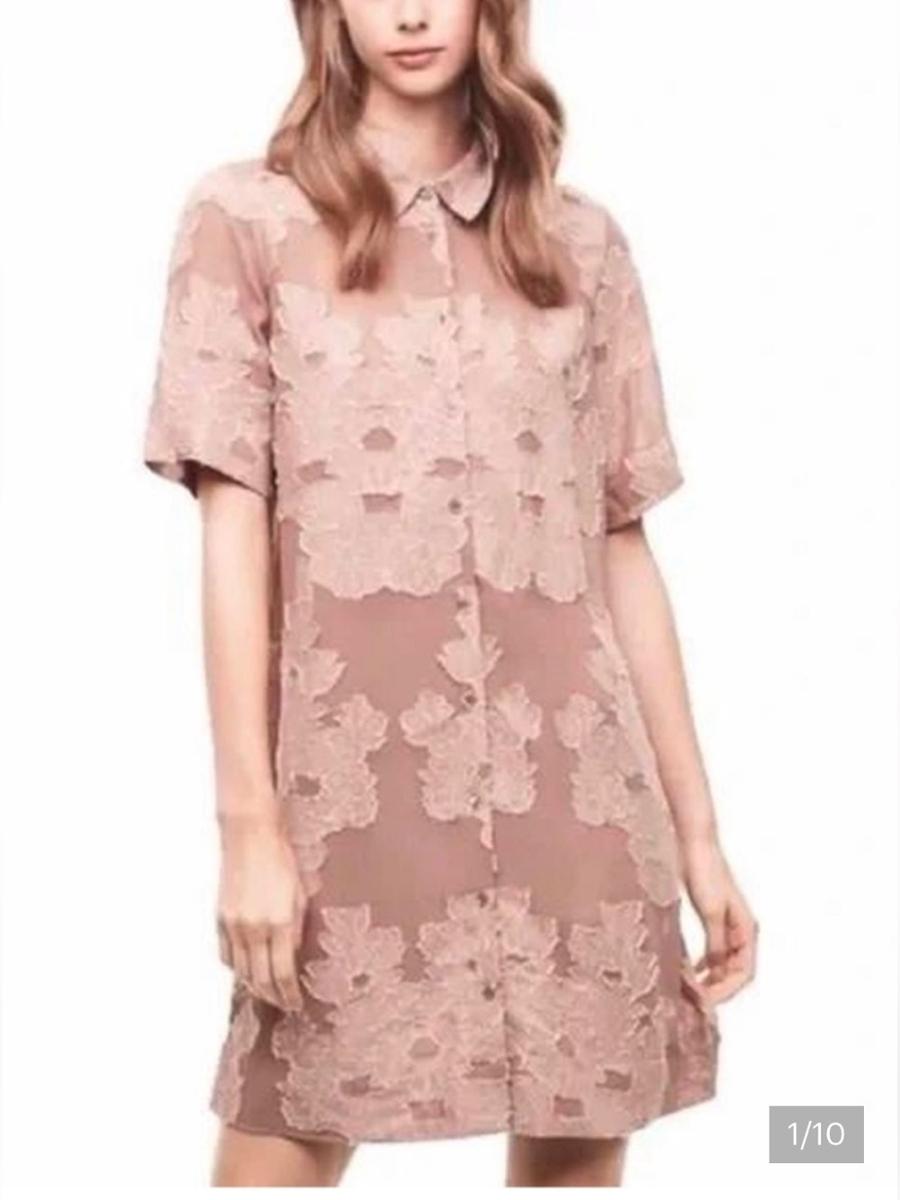 Wilfred Rose-Taupe Floral Button-Down Mini Dress